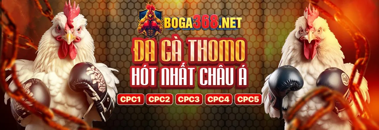 Đa dạng các loại hình cá cược tại Jun882