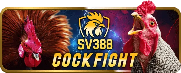 Sự Kiện Đặc Biệt và Quà Tặng VIP